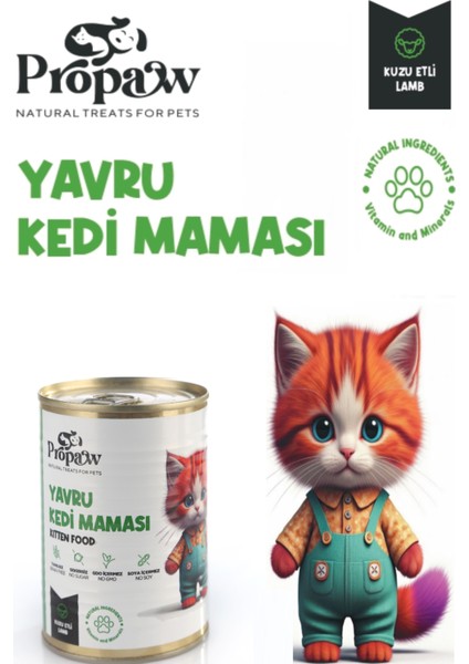 Yavru Kedi Yaş Mama Kuzu Konserve Jöleli Premium Parça Etli Besleyici Tahılsız Temiz Içerik