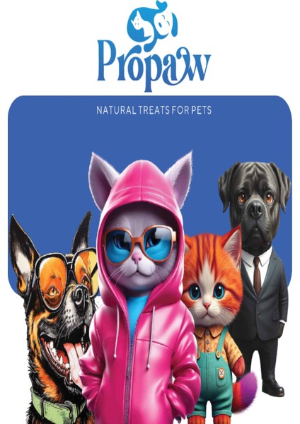 Yavru Kedi Yaş Mama Kuzu Konserve Jöleli Premium Parça Etli Besleyici Tahılsız Temiz Içerik fırsatları