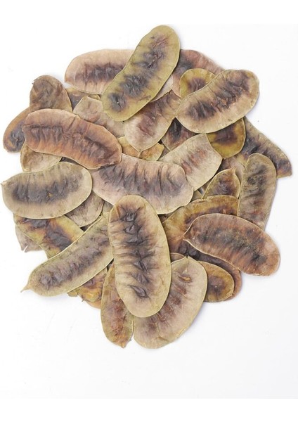 Açlık Otu