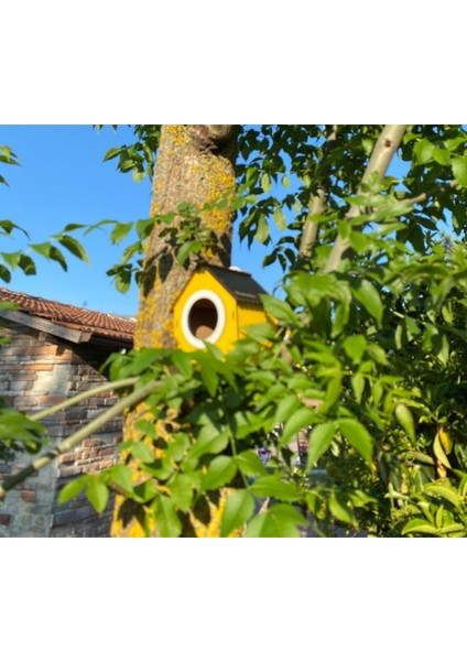 Ahşap Dekoratif Kuş Evi Yuvası, Yuvalık, Balkon , Bahçe Aksesuarı