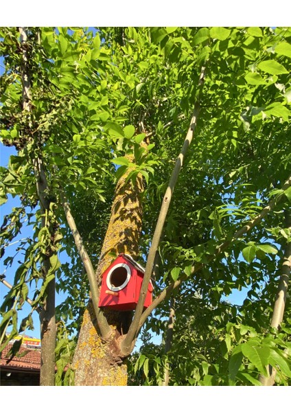 Ahşap Dekoratif Kuş Evi Yuvası, Yuvalık, Balkon , Bahçe Aksesuarı fiyatları
