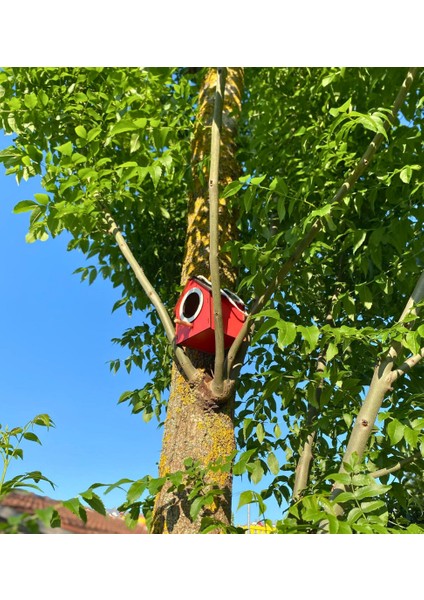 Ahşap Dekoratif Kuş Evi Yuvası, Yuvalık, Balkon , Bahçe Aksesuarı modelleri