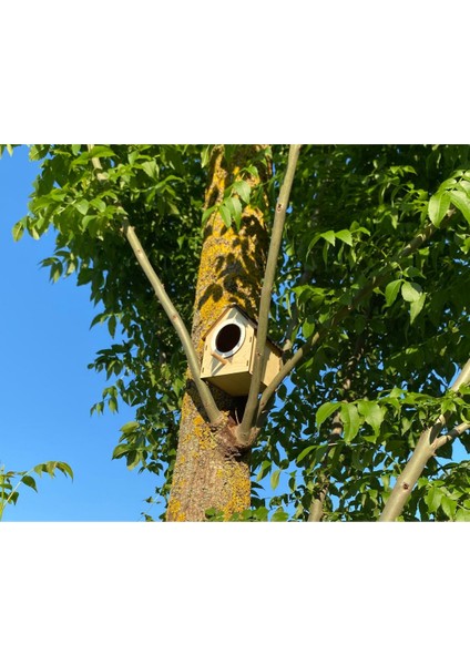 Ahşap Dekoratif Kuş Evi Yuvası, Yuvalık, Balkon , Bahçe Aksesuarı fiyatları