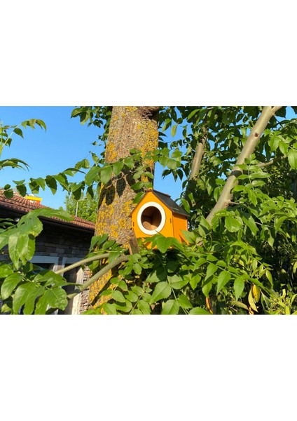 Ahşap Dekoratif Kuş Evi Yuvası, Yuvalık, Balkon , Bahçe Aksesuarı fiyatları