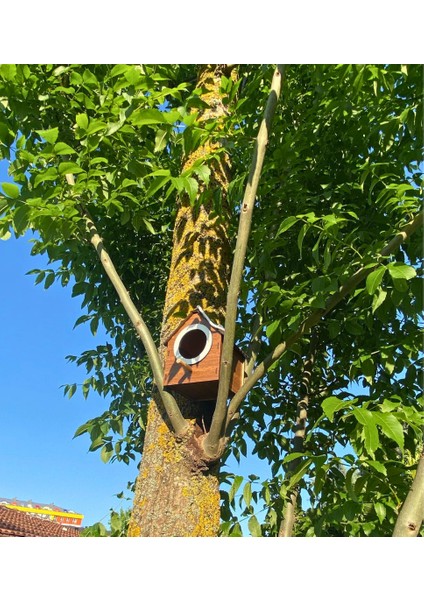 Ahşap Dekoratif Kuş Evi Yuvası, Yuvalık, Balkon , Bahçe Aksesuarı fiyatları