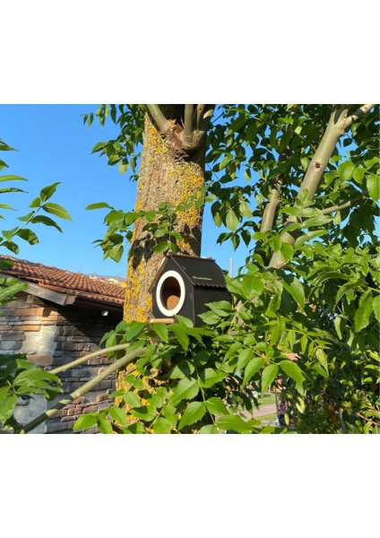 Ahşap Dekoratif Kuş Evi Yuvası, Yuvalık, Balkon , Bahçe Aksesuarı fiyatları