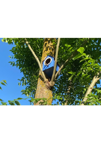 Ahşap Dekoratif Kuş Evi Yuvası, Yuvalık, Balkon , Bahçe Aksesuarı fiyatları