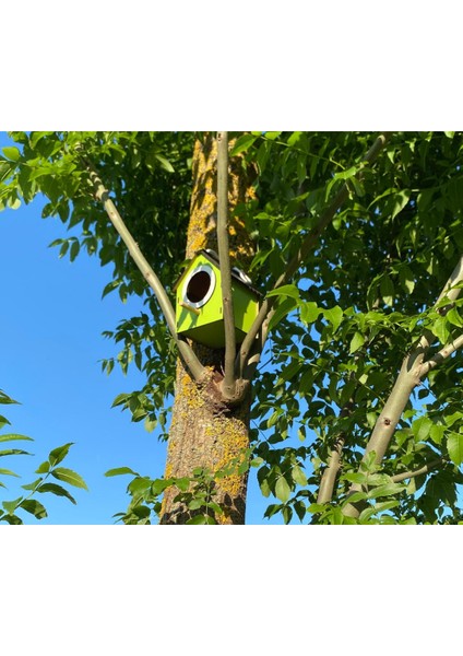 Ahşap Dekoratif Kuş Evi Yuvası, Yuvalık, Balkon , Bahçe Aksesuarı fiyatları