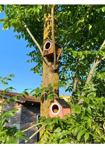 Ahşap Dekoratif Kuş Evi Yuvası, Yuvalık, Balkon , Bahçe Aksesuarı 10'lu
