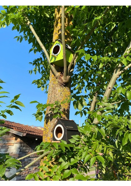 Ahşap Dekoratif Kuş Evi Yuvası, Yuvalık, Balkon , Bahçe Aksesuarı 10'lu