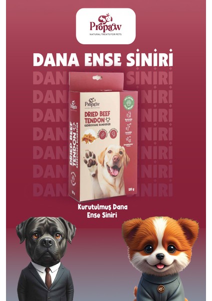 Kurutulmuş Dana Ince Sinir Çiğnemelik Köpek Ödül Maması %100 Doğal Tüm Irklar Için Protein 120 G fiyatları