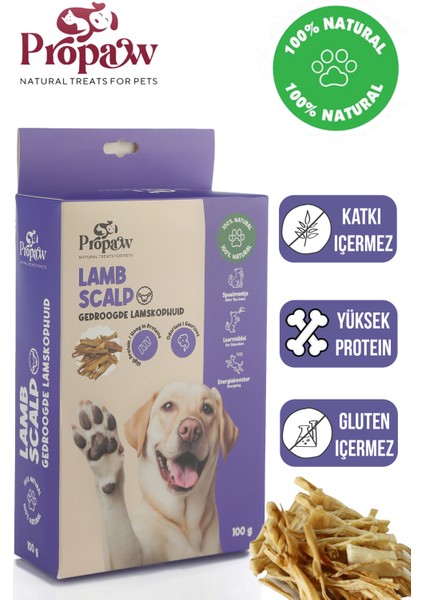 Kurutulmuş Kuzu Kelle Derisi Köpek Ödül Maması Çiğnemelik %100 Doğal Tüm Irklar Için Protein 100 G