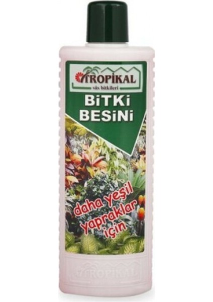 Tropikal Besin Bitkisi 6 Adet