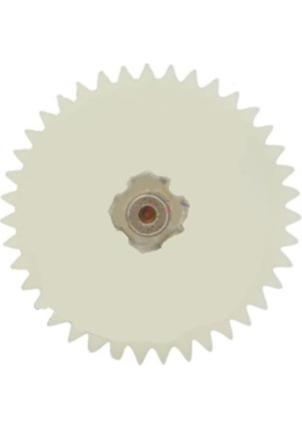 Yağ Pompa Dişlisi Alpha Spacy Activa 125S