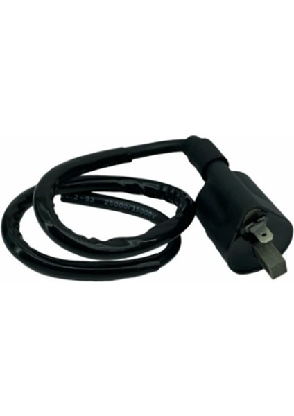 Ateşleme Bobini YBR125