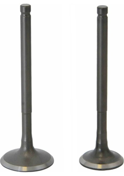 Emme Egzoz Sübap Takımı Tvs Wego