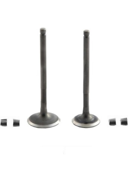 Emme Egzoz Sübap Takımı CBF150