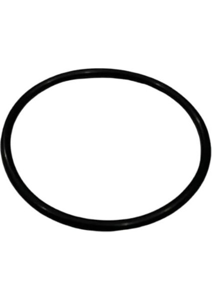 Benzin Şamandıra Contası O-Ringi Honda Spacy Activa S 125 Dio Fizy