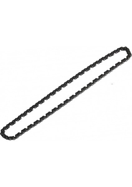 Eksantrik Zinciri Küba Zenzero 125