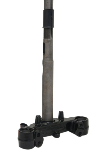 Ön Maşa Rks Spontini 110