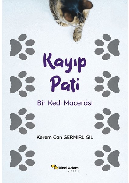 Kayıp Pati