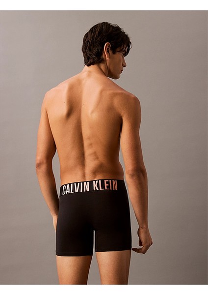 Calvın Kleın Boxer Brıef 3pk Boxer modelleri