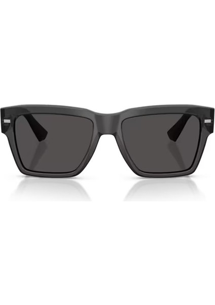 Dolce Gabbana DG4431 316087 55 Erkek Güneş Gözlüğü fırsatları