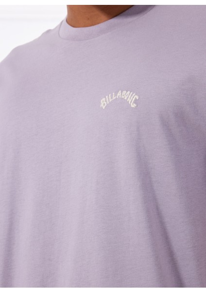 Arch Crew Ss EBYKT00100 Mor Bisiklet Yaka Regular Fit Düz Erkek T-Shirt fırsatları