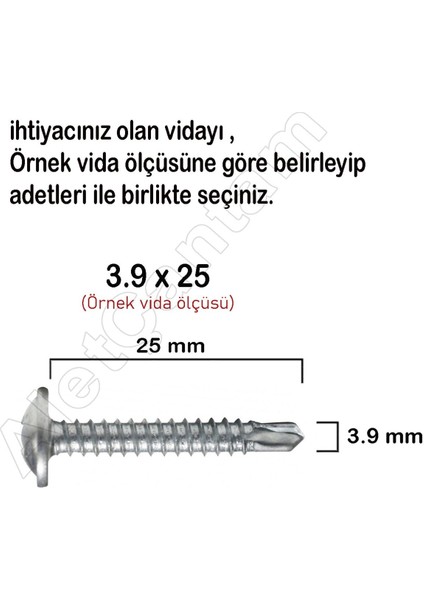 Apex Akıllı Matkap Uçlu Vidası Pul Başlı Vida Rysb 3.9 x 16 mm 100 Adet fiyatları