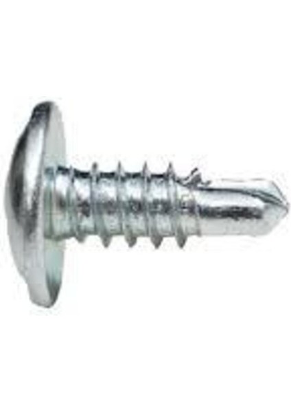 Apex Akıllı Matkap Uçlu Vidası Pul Başlı Vida Rysb 3.9 x 16 mm 100 Adet indirimleri