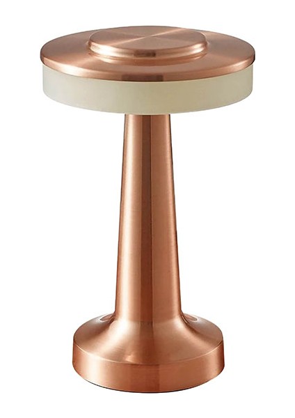 2 Adet 050-002-0001 Pronto 3cct Rose Gold 2W/5V Dimli Masa Lambası fiyatları