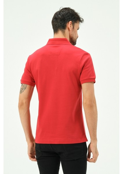 Love Pamuk Regular Comfort Erkek Polo Yaka T-Shırt indirimleri