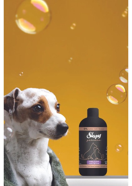 Petcare Evcil Hayvan 60'lı Islak Havlusu ve Şampuan 500ML fırsatları