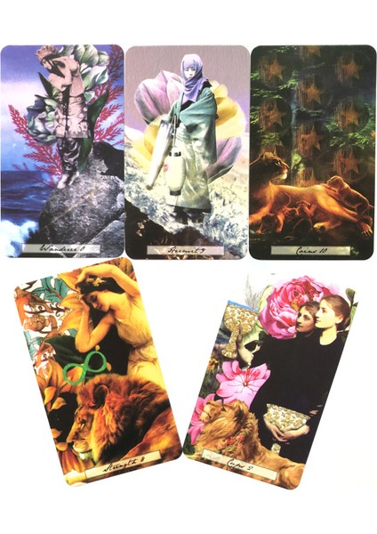 Okyanus Tarot Stili 78CARD Nadir Tarot Güverte Kader Kehanet Tahta Oyunu Için Oracle Kartı Tarot ve Çeşitli Tarot Seçenekleri (Yurt Dışından)