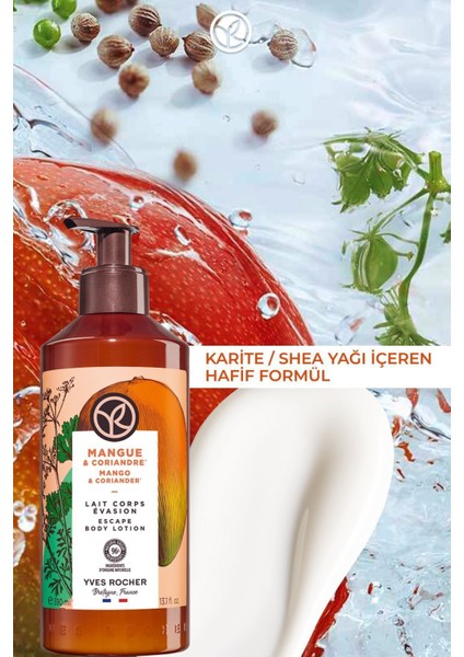 Nemlendirici Vücut Losyonu - Canlandırıcı Mango Kişniş - 390ml