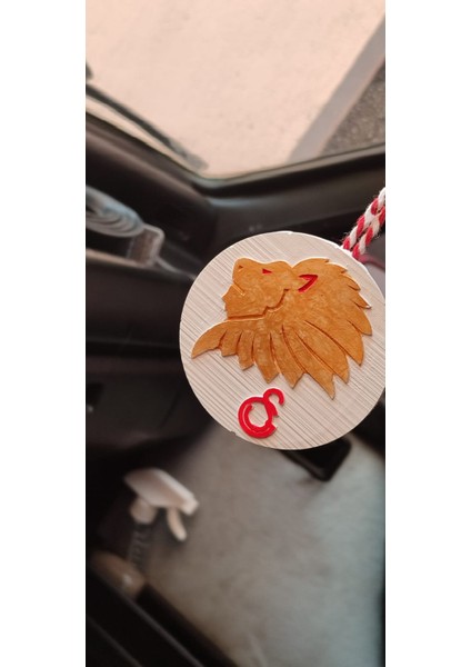 Galatasaray Süs