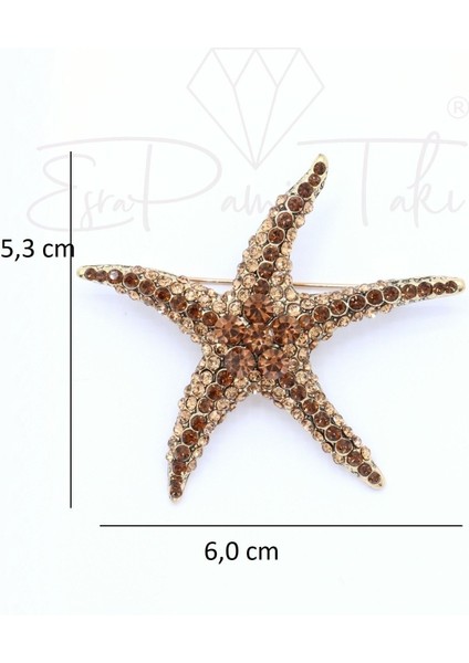 Kahverengi Zirkon Taşlı Deniz Yıldızı Broş fiyatları