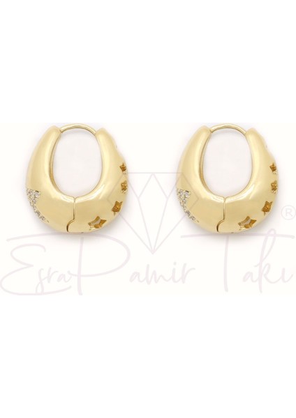 Zirkon Taşlı Altın Renk Küpe fiyatları