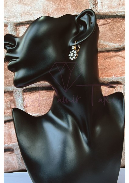 Zirkon Taşlı Elmas Montür Çiçek Küpe fiyatları