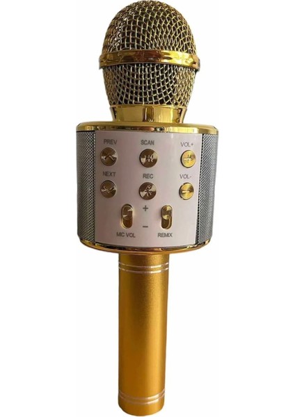 Karaoke Mikrofon USB / Tf Kart / Aux