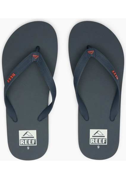 Reef Seasıde Terlik fiyatları
