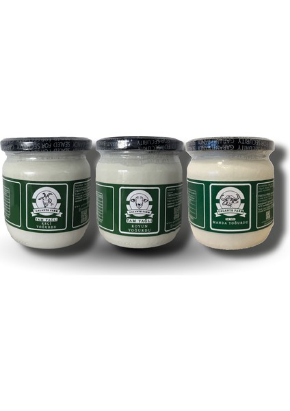 Üçlü Yoğurt Paketi (400GR)