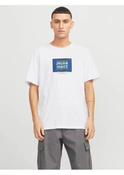 Erkek Jjhudson Tee Ss Crew Neck Ln T-shirt 12268477