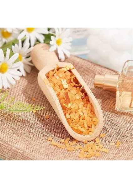Ahşap Baharat Kaşığı Barnhard Design 12 Li Paket