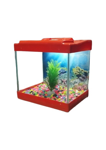 Yaren LED Işıklı Mini Akvaryum