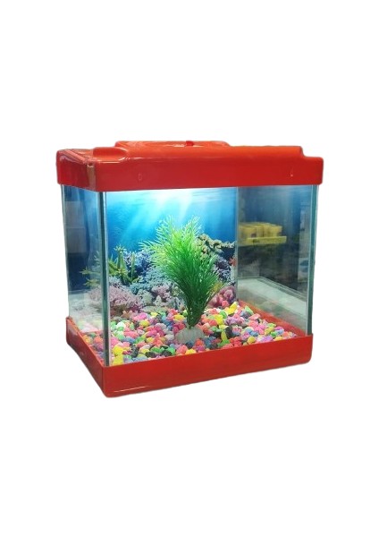Yaren LED Işıklı Mini Akvaryum