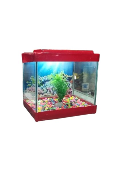 Yaren LED Işıklı Mini Akvaryum