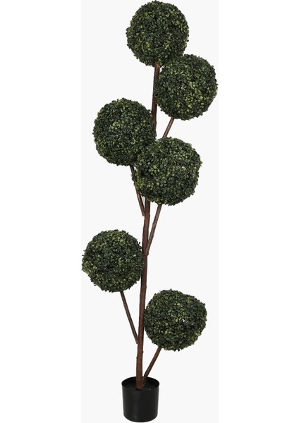 Saksılı 6 Başlı Milano Ağacı 180CM