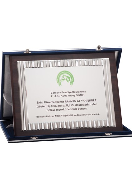 - Özel Plaketler - LX-030 A - 30X38 cm