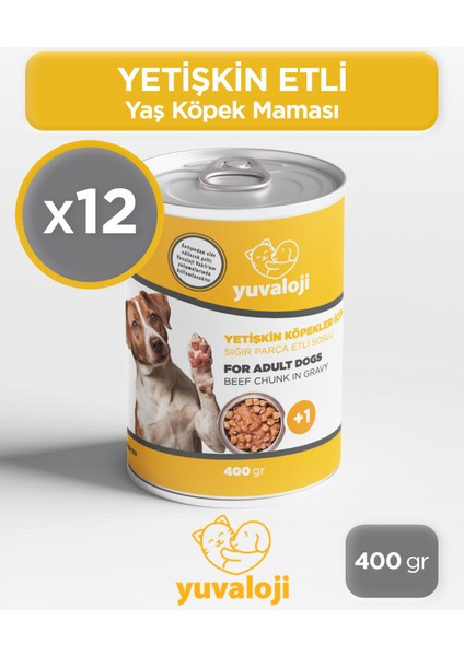 Yetişkin Köpekler Için Sığır Parça Etli Soslu Yaş Köpek Maması